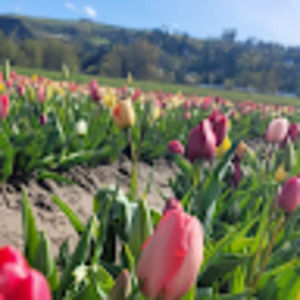 Meet your Posher, Makayla